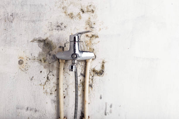 Best Emergency Mold Removal  in Lampeter, PA