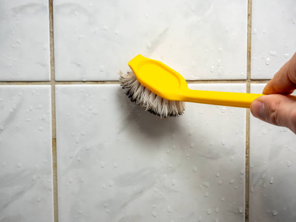 Best Office Mold Removal Services  in Lampeter, PA