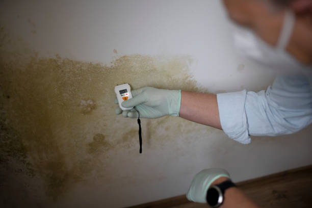 Best Mold Damage Repair  in Lampeter, PA