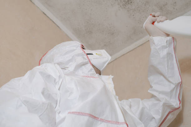 Best Attic Mold Removal  in Lampeter, PA